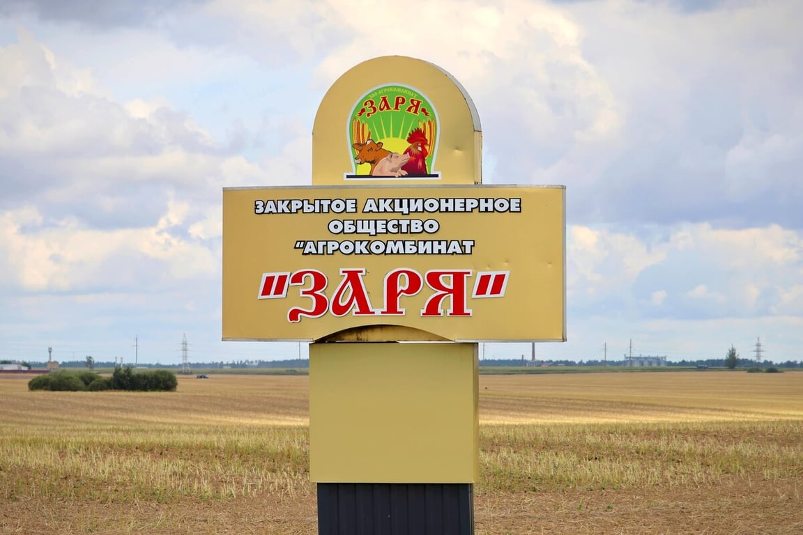 «У комбайнёров выходных нет!» Механизатор о работе на комбайне за 1,8 млн BYN