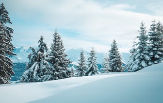 Неуютный, темный, ветреный. Какой погодой порадует ноябрь?