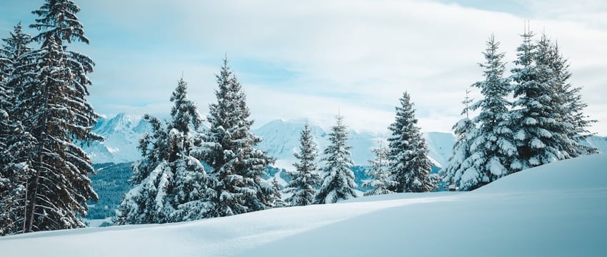 Неуютный, темный, ветреный. Какой погодой порадует ноябрь?