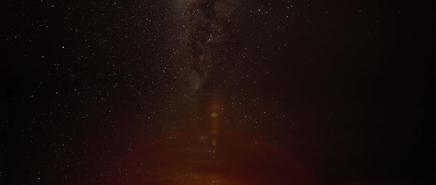 Снятие запрета на посещение лесов во Витебской области