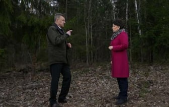 Площадь лесов выросла в Беларуси на 1 млн га за 30 лет