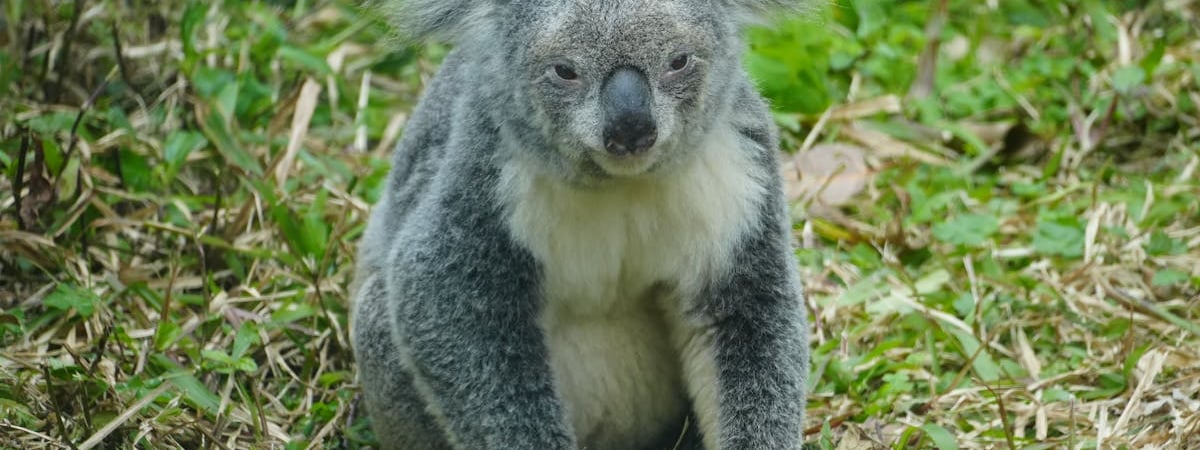 Австралия ввела новые санкции против 70 россиян и 79 предприятий РФ