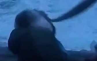 Норвежского синоптика во время репортажа сбила с ног рыба. Но и это еще не все — Видео