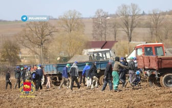 В Ошмянском районе после визита Лукашенко на поля отправили военных, студентов и рабочих заводов. Зачем?