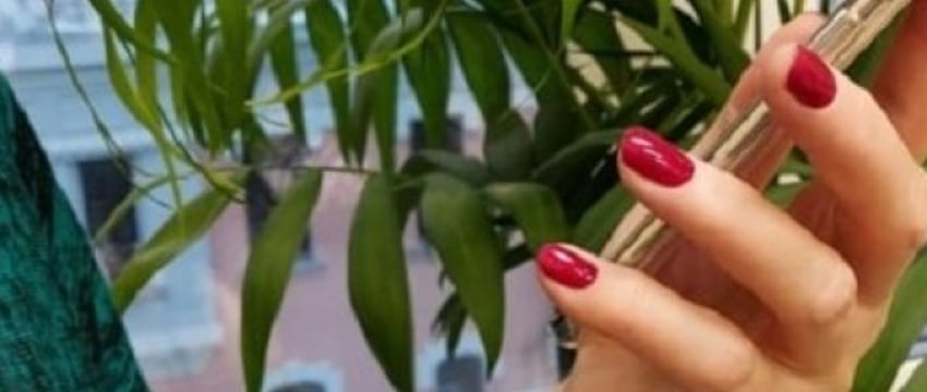 Пенсионерке из Беларуси «пришла» посылка, которая дорого ей обошлась – вот что произошло