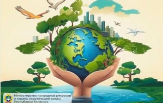 В Беларуси пройдет экологическая акция «Час Земли»