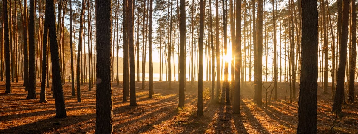 Польша получит от Южной Кореи РСЗО Homar-K