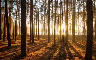 Польша получит от Южной Кореи РСЗО Homar-K