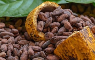 Цены на какао-бобы превысили 10 тысяч долларов за тонну впервые в истории
