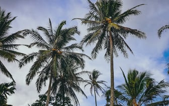 Рост экономики США в III квартале ускорился до 3,1%