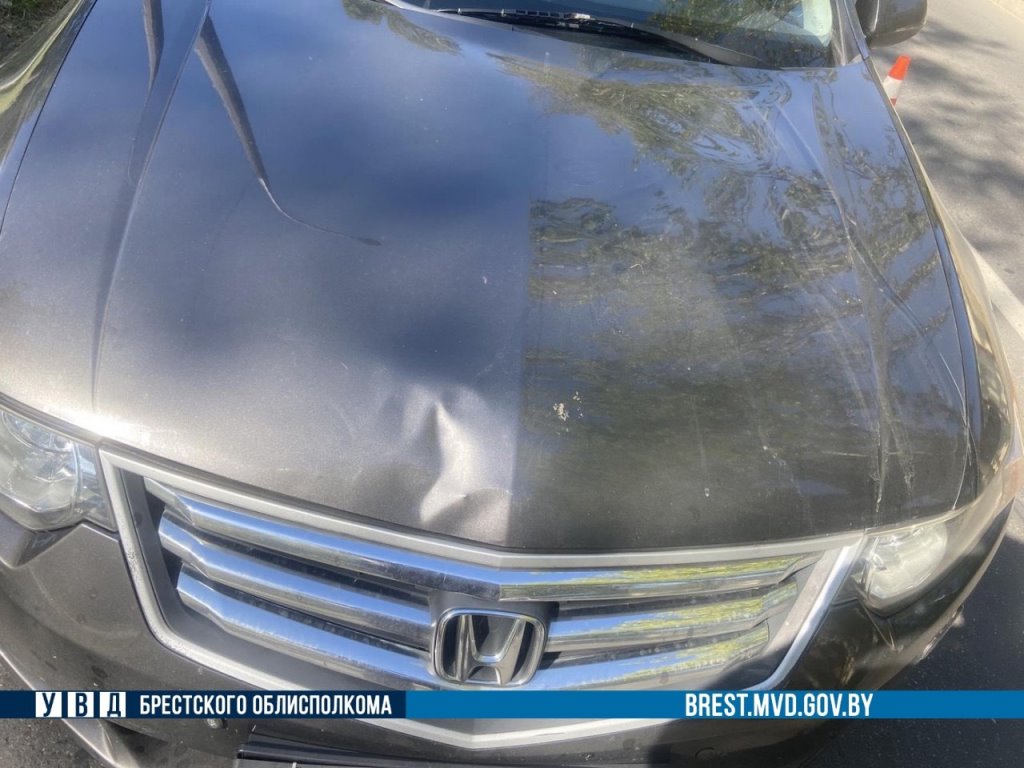 В Бресте Honda сбила пешехода