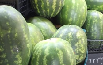 Цена клубники на рынке