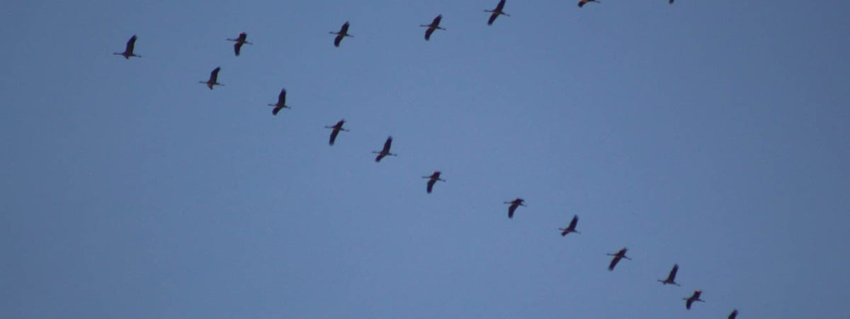 Доставайте шорты и майки — погода в Гродно на неделю