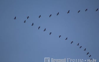 Доставайте шорты и майки — погода в Гродно на неделю