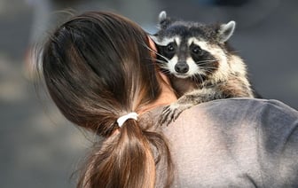 Выходные в Гомеле. Куда сходить 28-29 сентября?