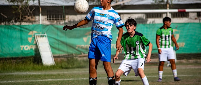 В Барановичах подростки издевались над сверстниками, которых считали изгоями, а фото и видео с унижениями публиковали в телеграм-канале