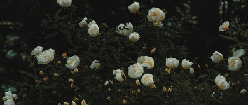 Тихановская: Сегодня никто в Беларуси не может чувствовать себя в безопасности