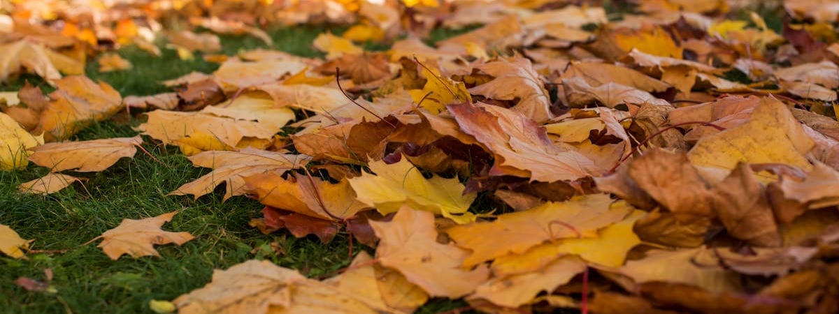 ЕАБР объяснил сокращение золотовалютных резервов Беларуси удешевлением золота