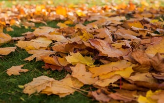 ЕАБР объяснил сокращение золотовалютных резервов Беларуси удешевлением золота