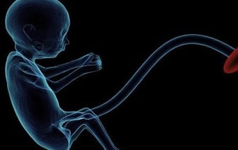 Правом на бесплатную попытку ЭКО с 2021 года воспользовались около 750 семейных пар Брестской области