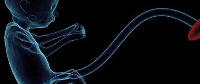 Правом на бесплатную попытку ЭКО с 2021 года воспользовались около 750 семейных пар Брестской области