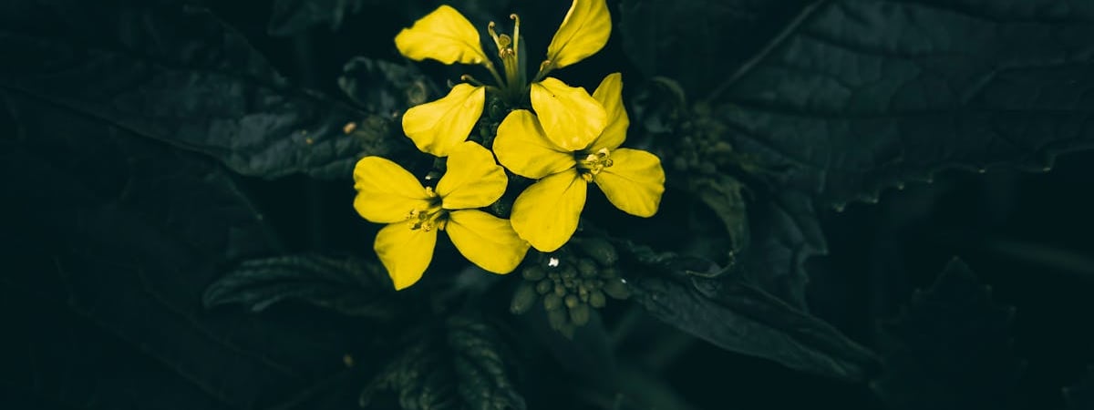 Изнасилованная в центре Варшавы беларуска умерла