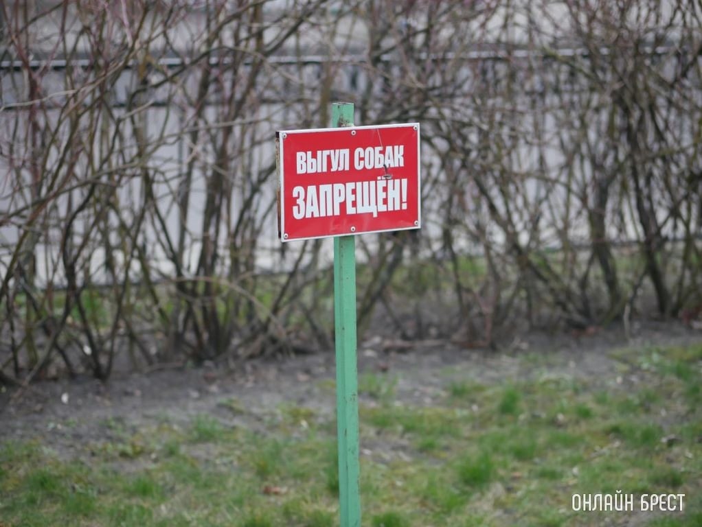 Фото носит иллюстративный характер