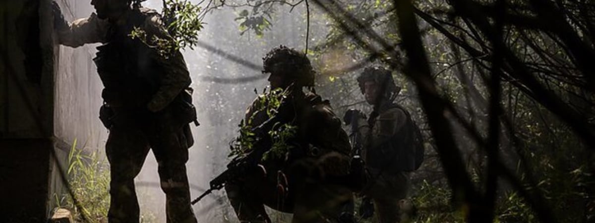 Литва следом за Польшей решила заминировать границу с Беларусью