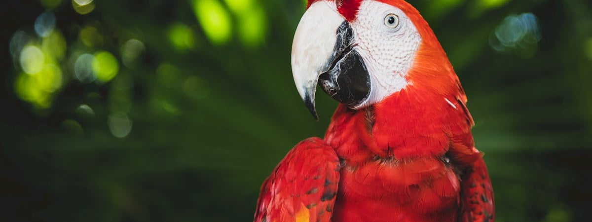 Армия Литвы получила партию дронов стоимостью €2,5 млн