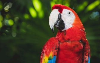 Армия Литвы получила партию дронов стоимостью €2,5 млн