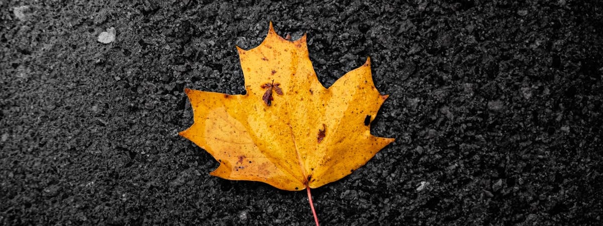 Израильские войска вторглись на территорию Сирии в районе Голанских высот