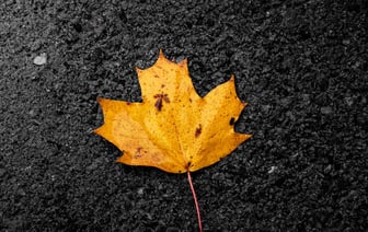 Израильские войска вторглись на территорию Сирии в районе Голанских высот