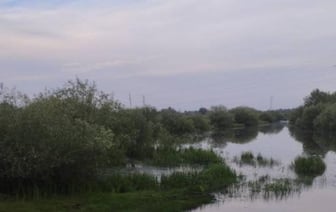 Трагедия в Жлобине: два подростка утонули в озере