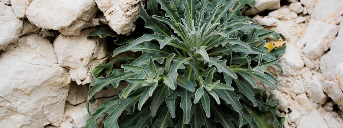 Прогноз роста ВВП Беларуси в 2024 году