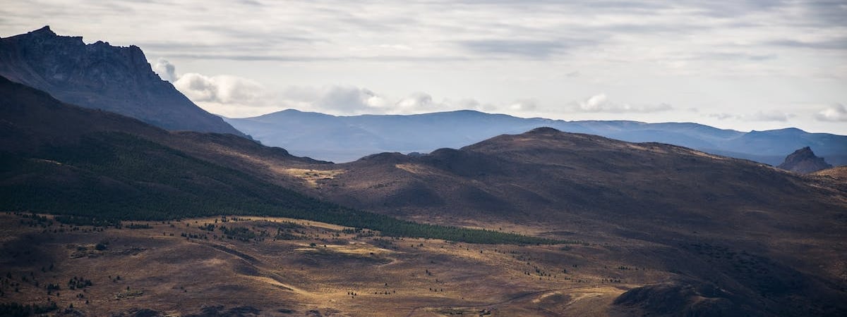 Аргентина не планирует присоединяться к БРИКС