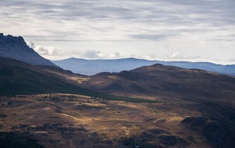 Аргентина не планирует присоединяться к БРИКС