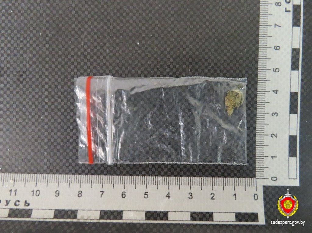 Белорус пытался избавиться от наркотиков при задержании