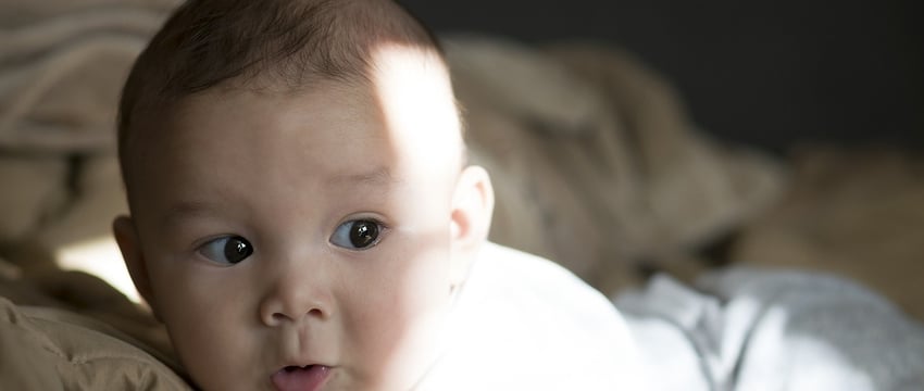 Началось банкротство производителя детского питания из Полоцка — не смогли рассчитаться по токенам