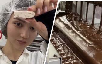 «Ни одна пернатая не пострадала» — На белорусской фабрике показали, как делают «Птичье молоко» — Видео