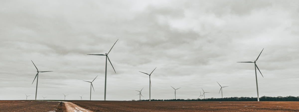 ЕБРР работает с 18 странами над разработкой системы аукционов по ВИЭ