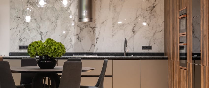 В Полоцке работники МЧС спасли кота Кешу, который забрался на высокое дерево