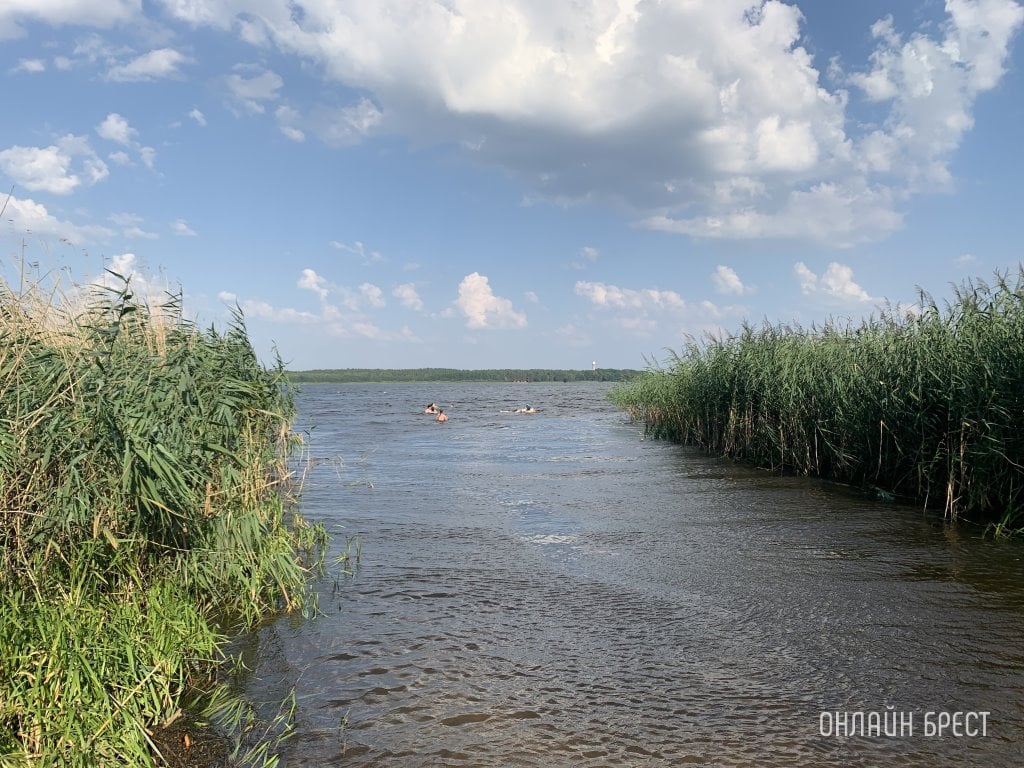 Фото носит иллюстративный характер
