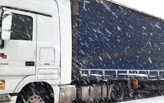 В Литве пограничники задержали пьяного белоруса на фуре