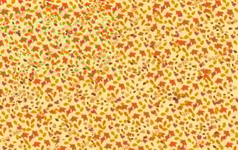 Эту осеннюю головоломку решают только люди с орлиными глазами. Найдите все яблоки за 60 секунд — Фото