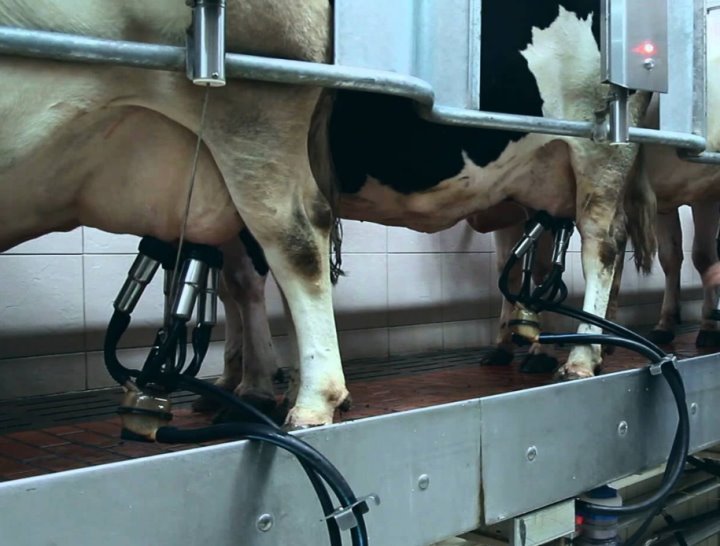 Фото из открытых источников (иллюстративное)