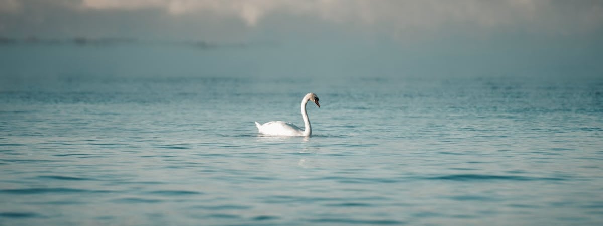 Российский корабль на Балтике открыл огонь во время операции ВВС Германии