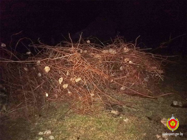 В Пружанском районе лесоруб похитил более двух тонн металлолома со стройобъекта
