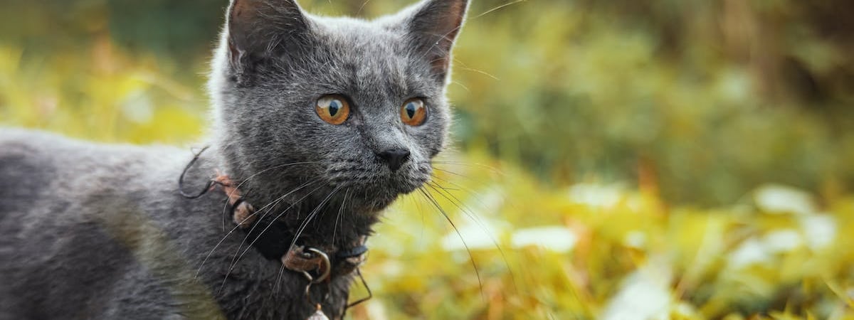 Анатолий Лебедько: Неприемлемо, что беларусов пытаются уравнивать с россиянами в правовом поле и пытаются положить в одну корзину