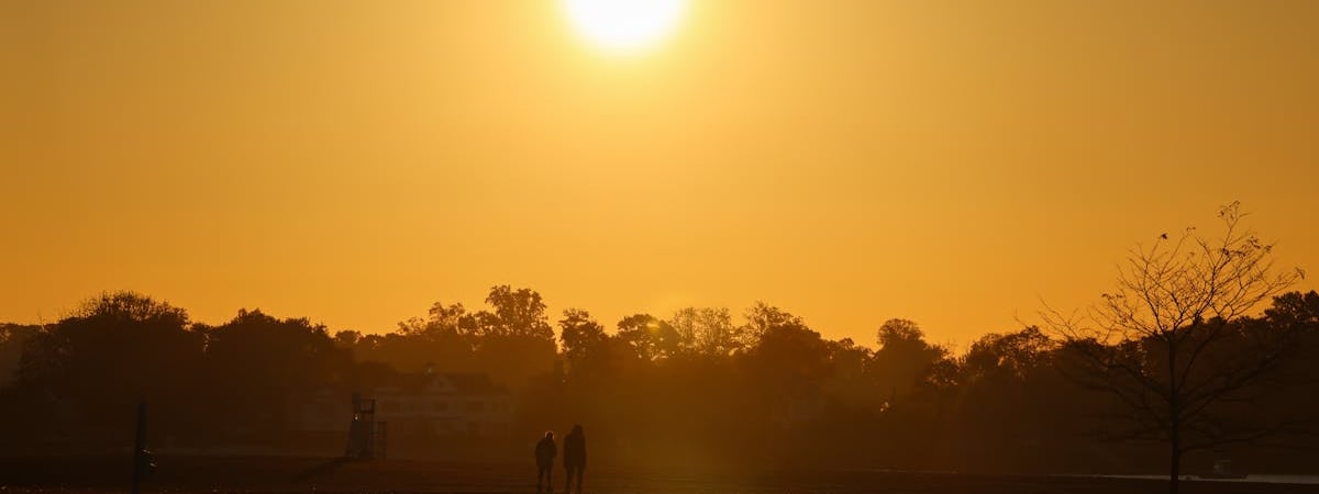 Европейская флора мигрирует на запад под воздействием оксидов азота