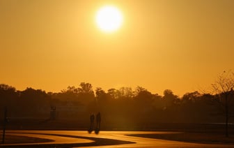 Европейская флора мигрирует на запад под воздействием оксидов азота
